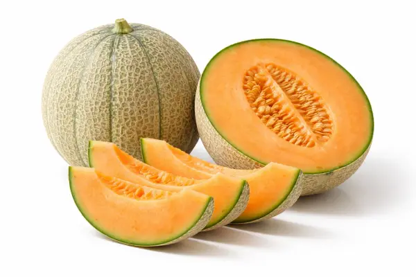 Melon Charentais